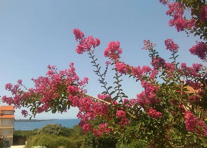 Πανσιόν Adria 3*