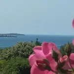 Adria 招待所 3*