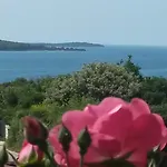 Adria 招待所 普拉