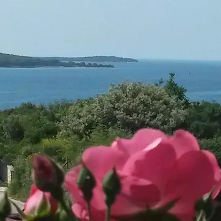 Adria Maison d'hôtes Pula