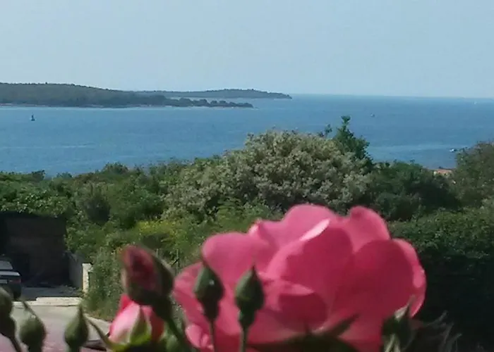 Adria Pensionat Pula