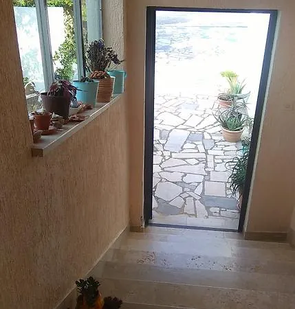 ゲストハウス Adria