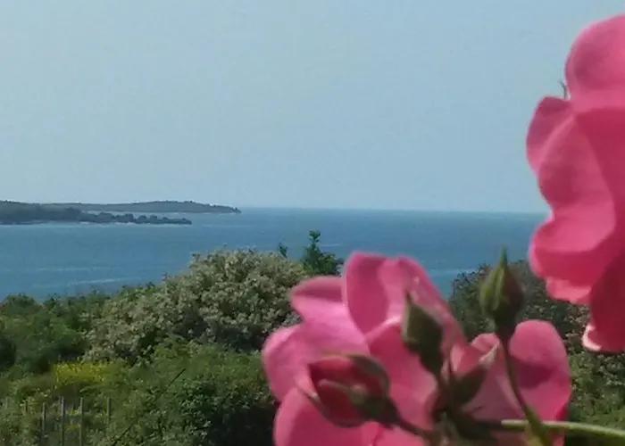 Guesthouse Adria Guest house 3*